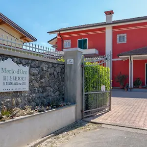 Merlo D'oro , Carrara Italia